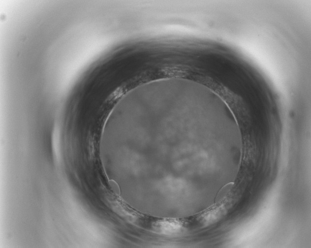 X0000088430765200705291525