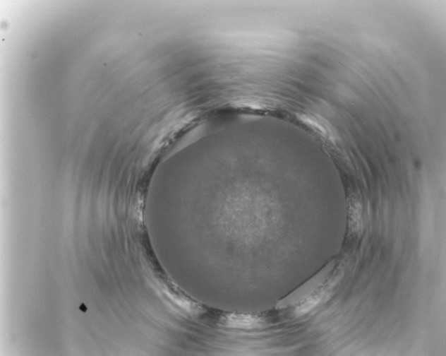 X0000088430766200705291525