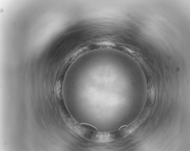 X0000088430767200705291525