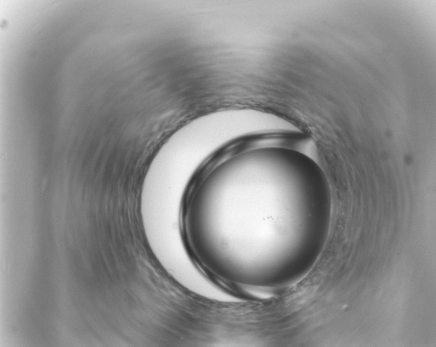 X0000088430768200705291525