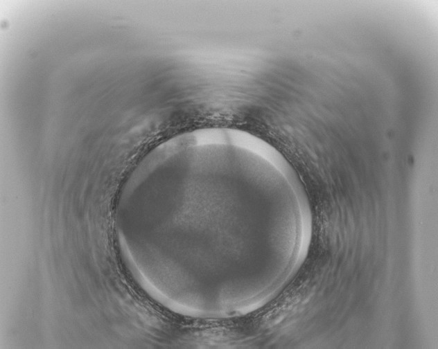 X0000088430769200705291524