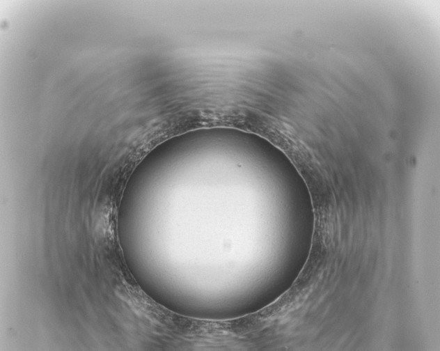 X0000088430770200705291524