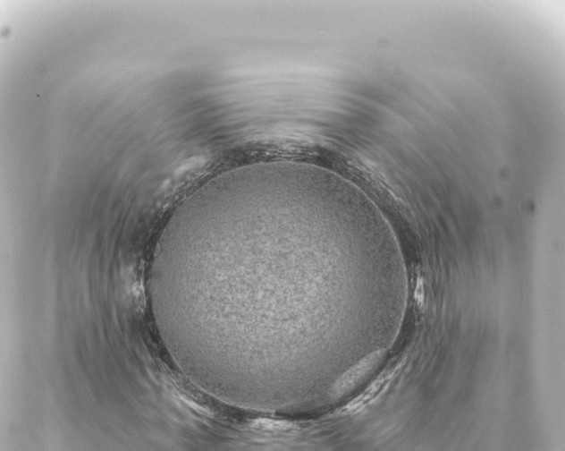 X0000088430771200705291524