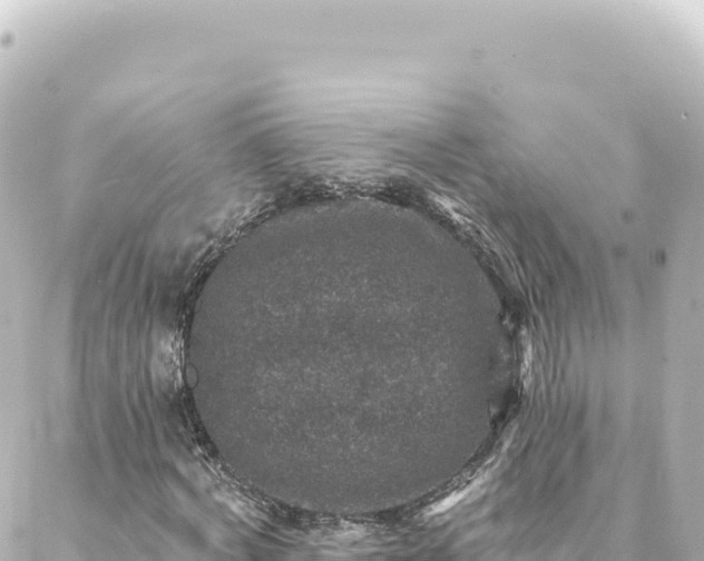 X0000088430772200705291524