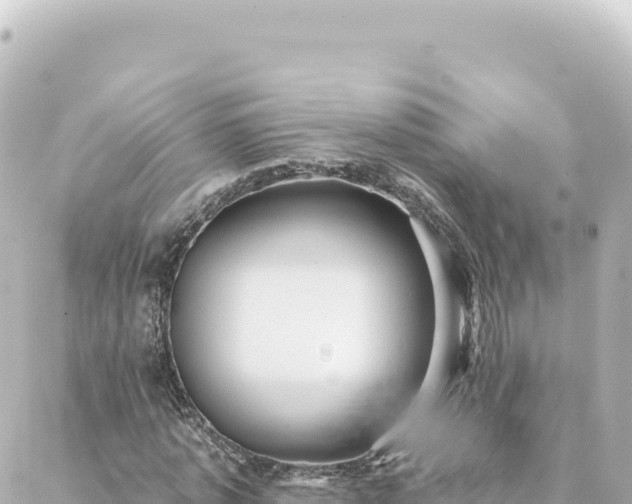 X0000088430773200705291524