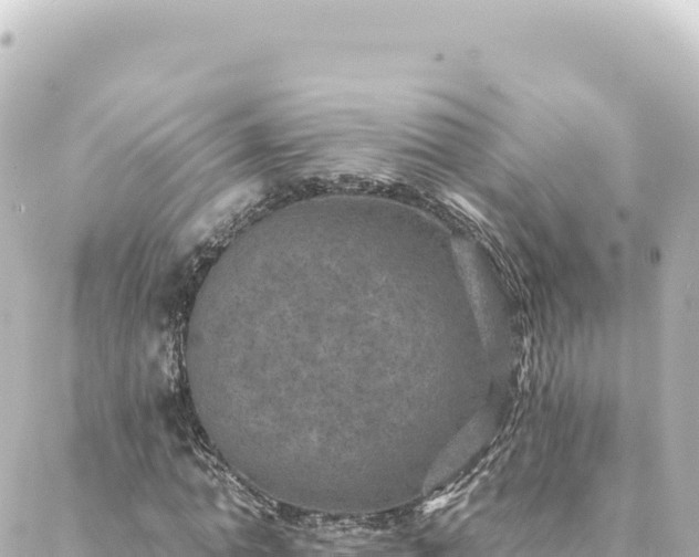 X0000088430774200705291524