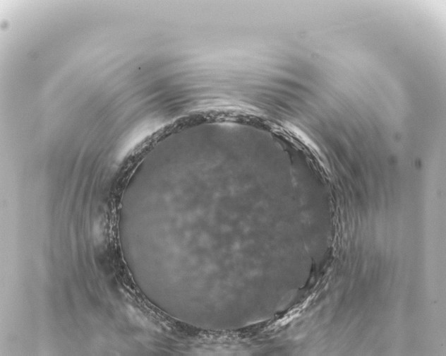 X0000088430775200705291524