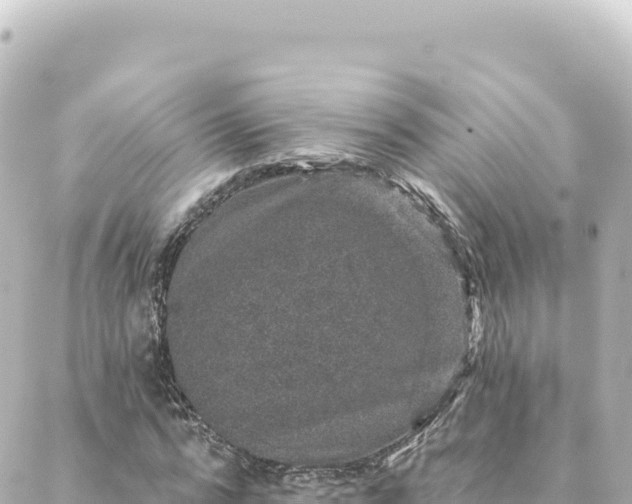 X0000088430776200705291524