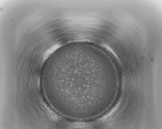 X0000088430777200705291524