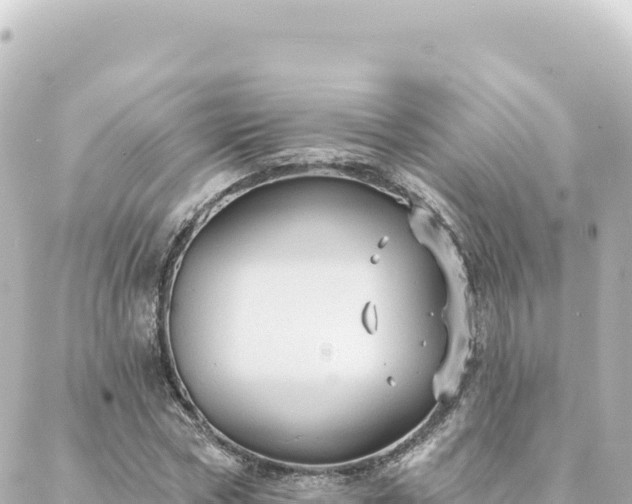 X0000088430778200705291524