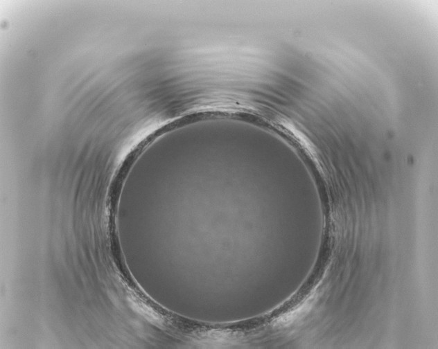 X0000088430779200705291524