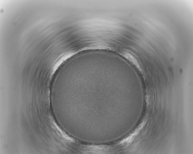 X0000088430781200705291524