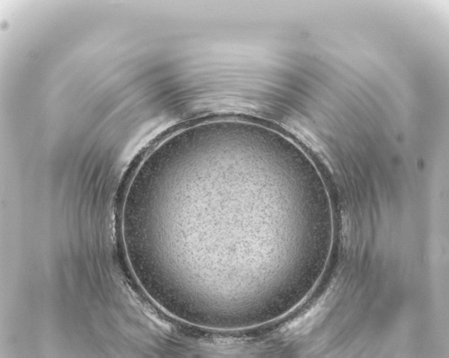 X0000088430782200705291524