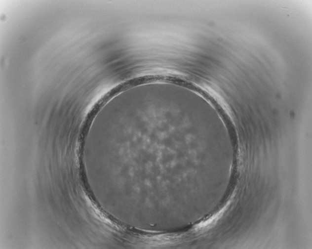 X0000088430783200705291524