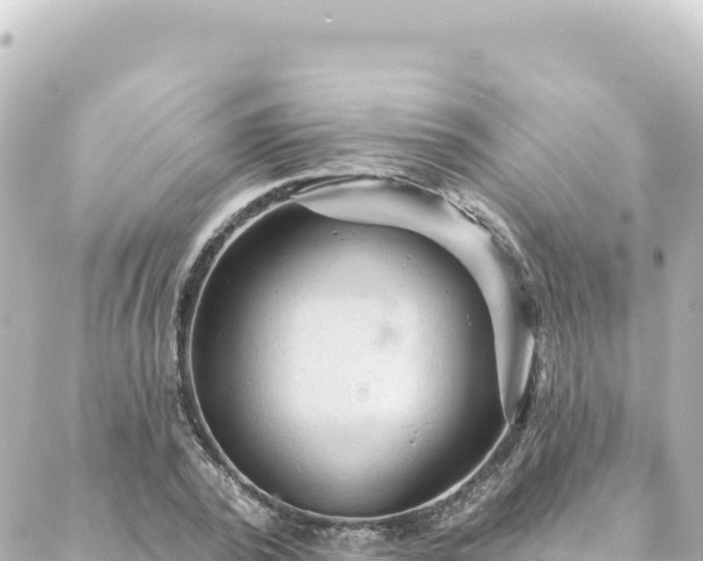 X0000088430784200705291524