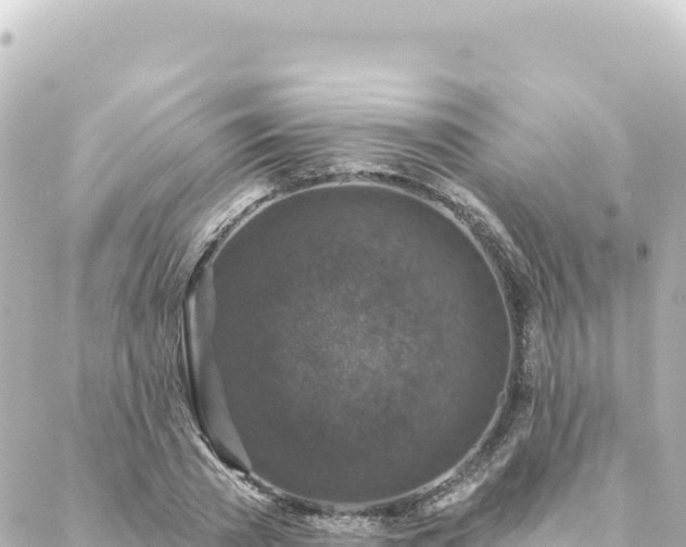 X0000088430785200705291524