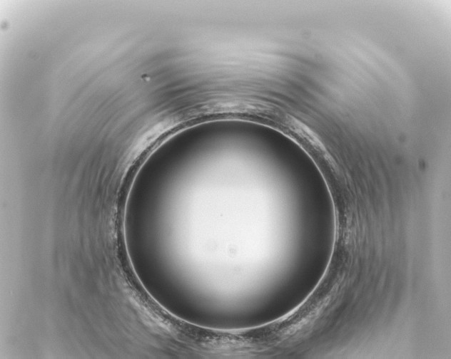 X0000088430786200705291524