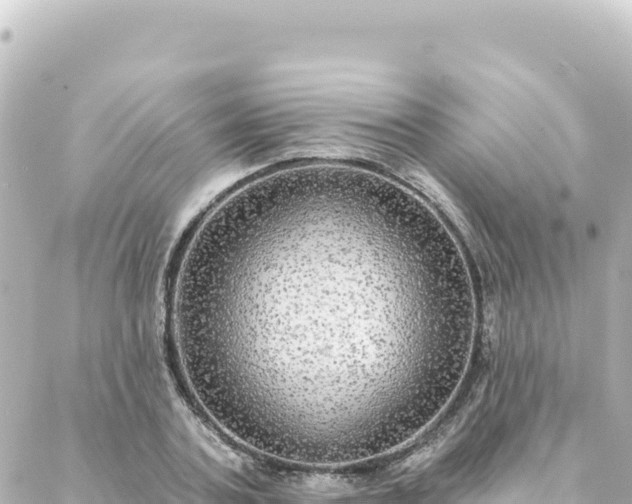 X0000088430787200705291524