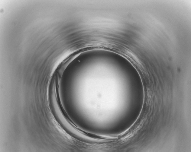 X0000088430788200705291524