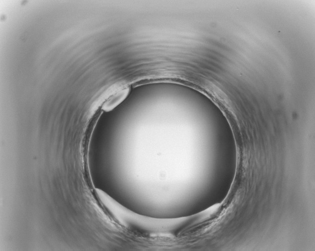 X0000088430789200705291524