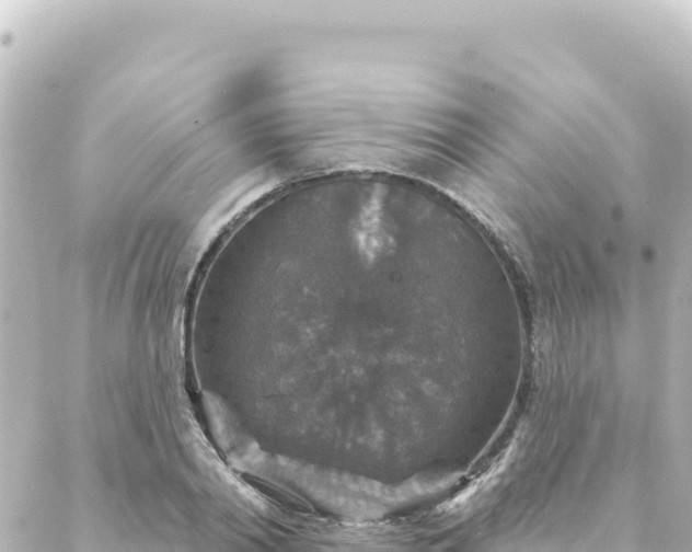 X0000088430790200705291524