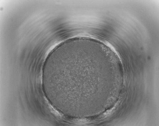 X0000088430791200705291524