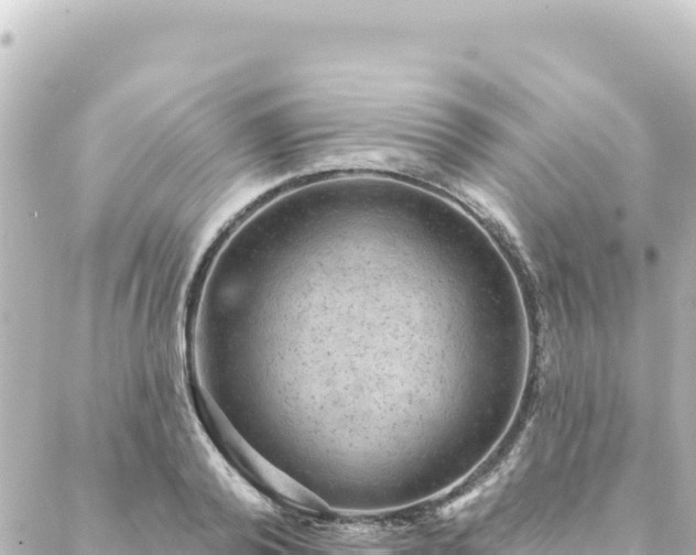 X0000088430792200705291524