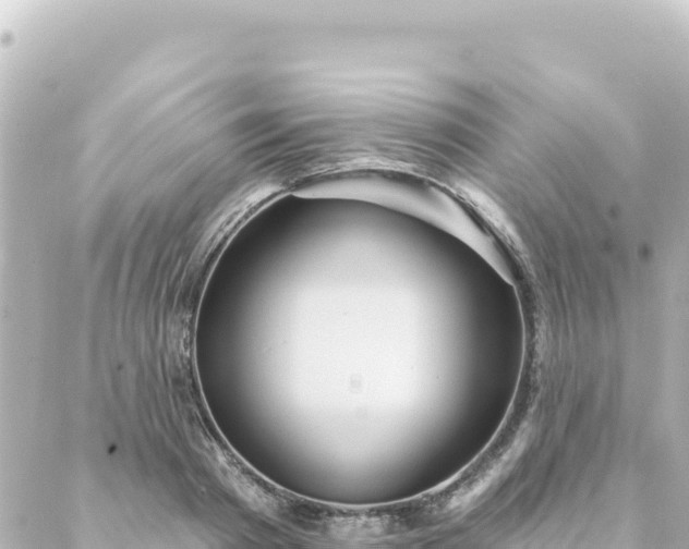 X0000088430793200705291524