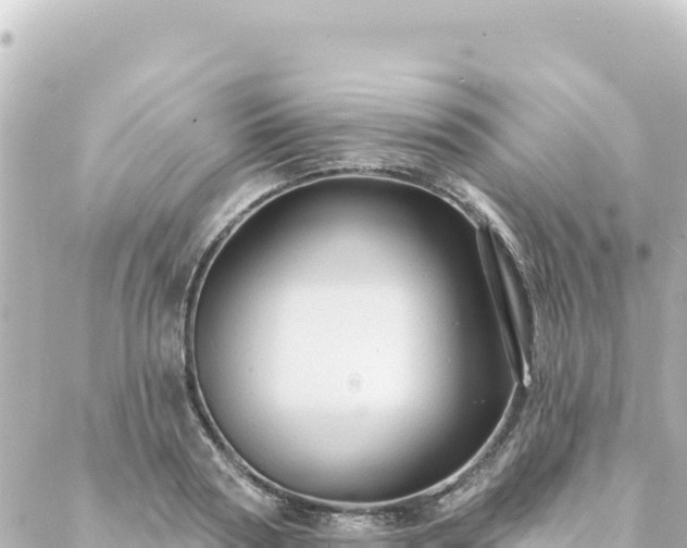 X0000088430794200705291524