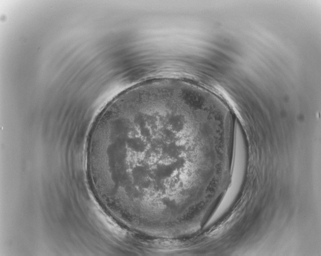 X0000088430795200705291524