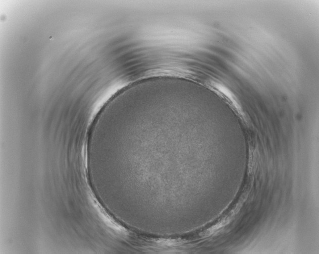 X0000088430796200705291524