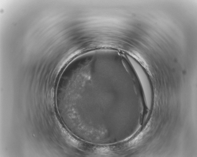 X0000088430798200705291523