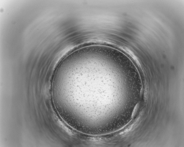 X0000088430799200705291523