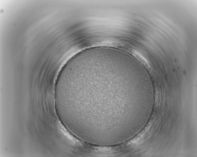 X0000088430800200705291523