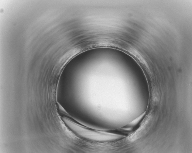 X0000088430801200705291523