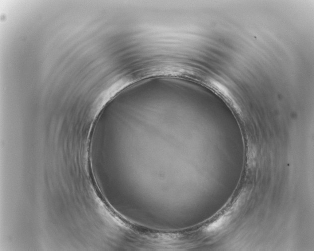 X0000088430802200705291523