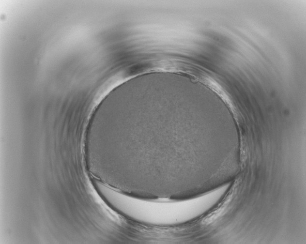 X0000088430803200705291523