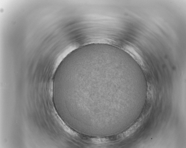 X0000088430804200705291523