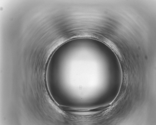 X0000088430805200705291523