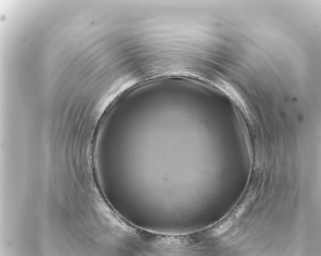 X0000088430806200705291523