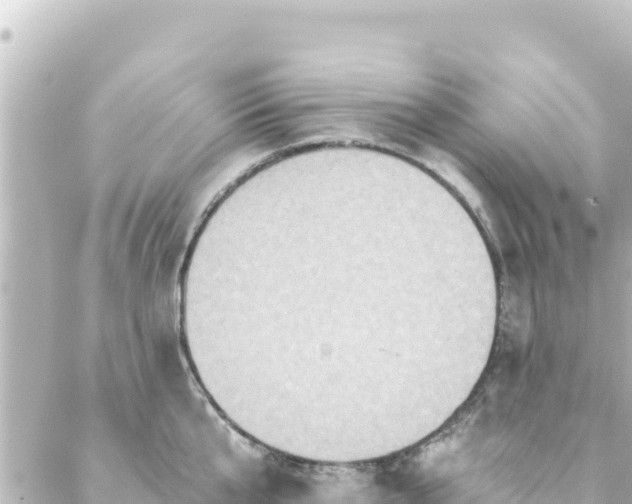 X0000088430807200705291523