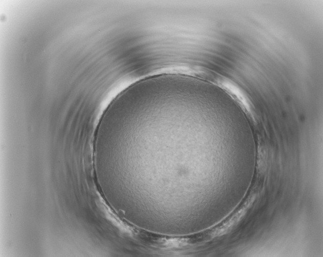 X0000088430808200705291523