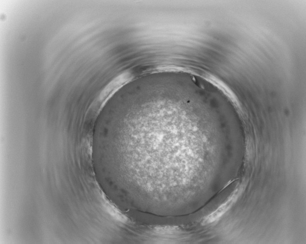 X0000088430809200705291523