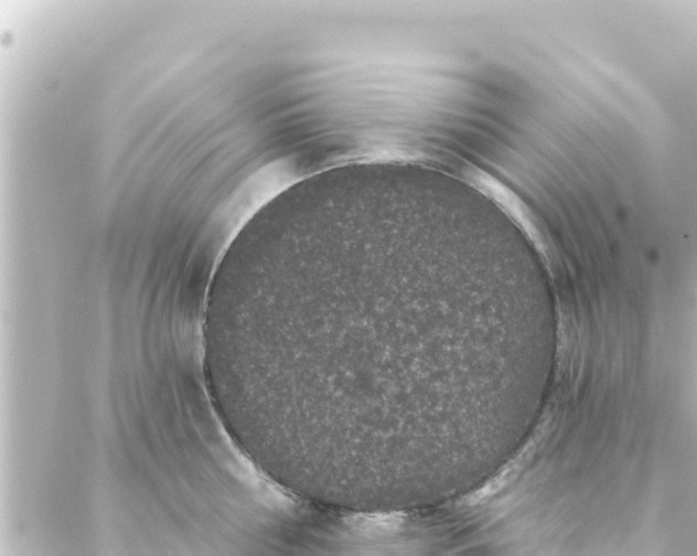 X0000088430810200705291523