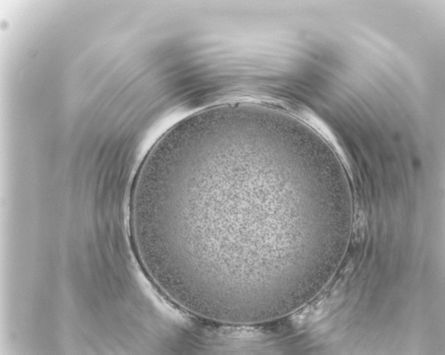 X0000088430811200705291523