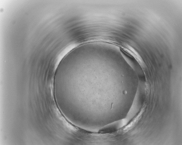 X0000088430812200705291523