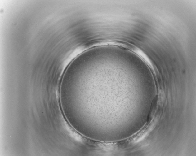 X0000088430813200705291523