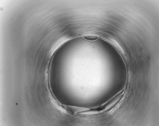 X0000088430814200705291523