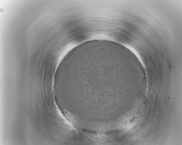 X0000088430815200705291523