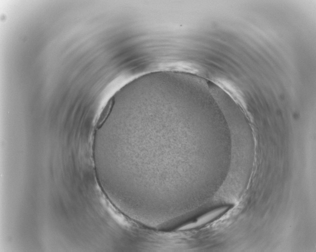 X0000088430816200705291523